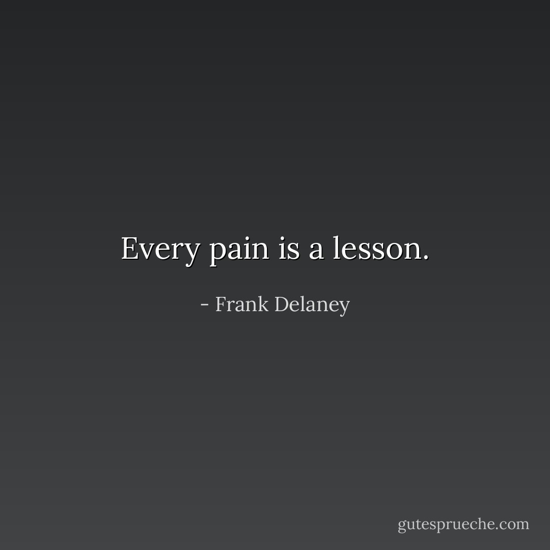 Every pain is a lesson. - Frank Delaney