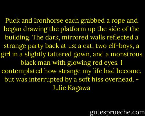 Puck and Ironhorse each grabbed a rope and began drawing the platform up the side of the building. The dark, mirrored walls reflected a strange party back at us: a cat, two elf-boys, a girl in a slightly tattered gown, and a monstrous black man with glowing red eyes. I contemplated how strange my life had become, but was interrupted by a soft hiss overhead. - Julie Kagawa