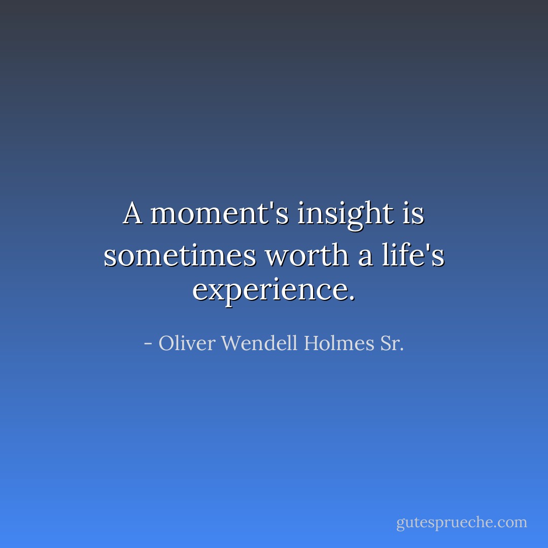A moment's insight is sometimes worth a life's experience. - Oliver Wendell Holmes Sr.