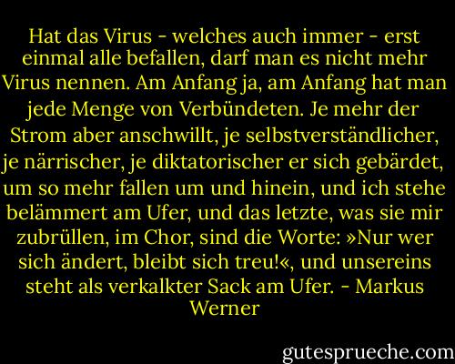 Hat das Virus - welches auch immer - erst einmal alle befallen, darf man es nicht mehr Virus nennen. Am Anfang ja, am Anfang hat man jede Menge von Verbündeten. Je mehr der Strom aber anschwillt, je selbstverständlicher, je närrischer, je diktatorischer er sich gebärdet, um so mehr fallen um und hinein, und ich stehe belämmert am Ufer, und das letzte, was sie mir zubrüllen, im Chor, sind die Worte: »Nur wer sich ändert, bleibt sich treu!«, und unsereins steht als verkalkter Sack am Ufer. - Markus Werner