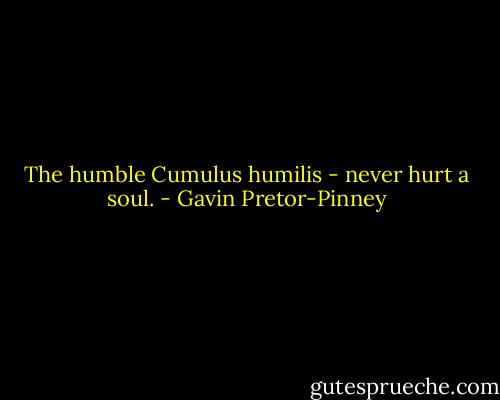 The humble Cumulus humilis - never hurt a soul. - Gavin Pretor-Pinney