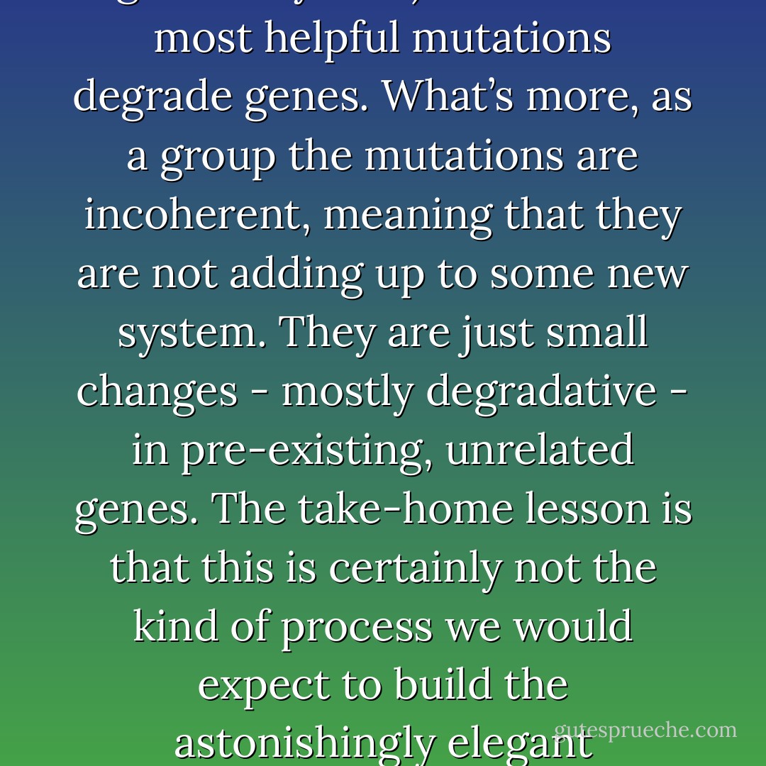 Random mutations much more easily debilitate genes than improve them, and that this is true even of the helpful mutations. Let me emphasize, our experience with malaria’s effects on humans (arguably our most highly studied genetic system) shows that most helpful mutations degrade genes. What’s more, as a group the mutations are incoherent, meaning that they are not adding up to some new system. They are just small changes - mostly degradative - in pre-existing, unrelated genes. The take-home lesson is that this is certainly not the kind of process we would expect to build the astonishingly elegant machinery of the cell. If random mutation plus selective pressure substantially trashes the human genome, why should we think that it would be a constructive force in the long term? There is no reason to think so. - Michael J. Behe