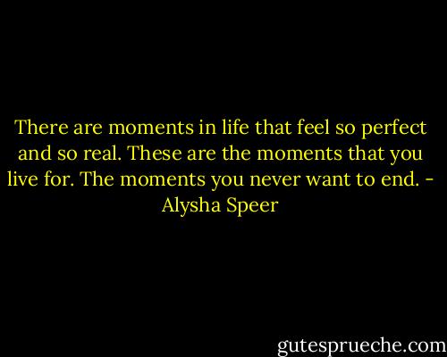 There are moments in life that feel so perfect and so real. These are the moments that you live for. The moments you never want to end. - Alysha Speer