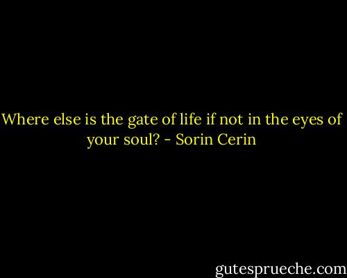 Where else is the gate of life if not in the eyes of your soul? - Sorin Cerin