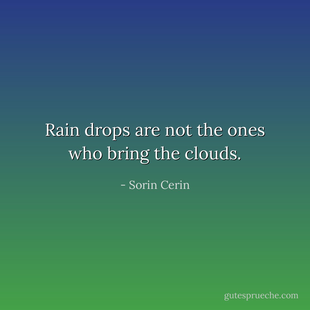 Rain drops are not the ones who bring the clouds. - Sorin Cerin