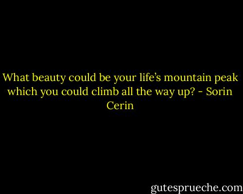 What beauty could be your life’s mountain peak which you could climb all the way up? - Sorin Cerin