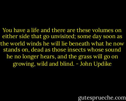You have a life and there are these volumes on either side that go unvisited; some day soon as the world winds he will lie beneath what he now stands on, dead as those insects whose sound he no longer hears, and the grass will go on growing, wild and blind. - John Updike