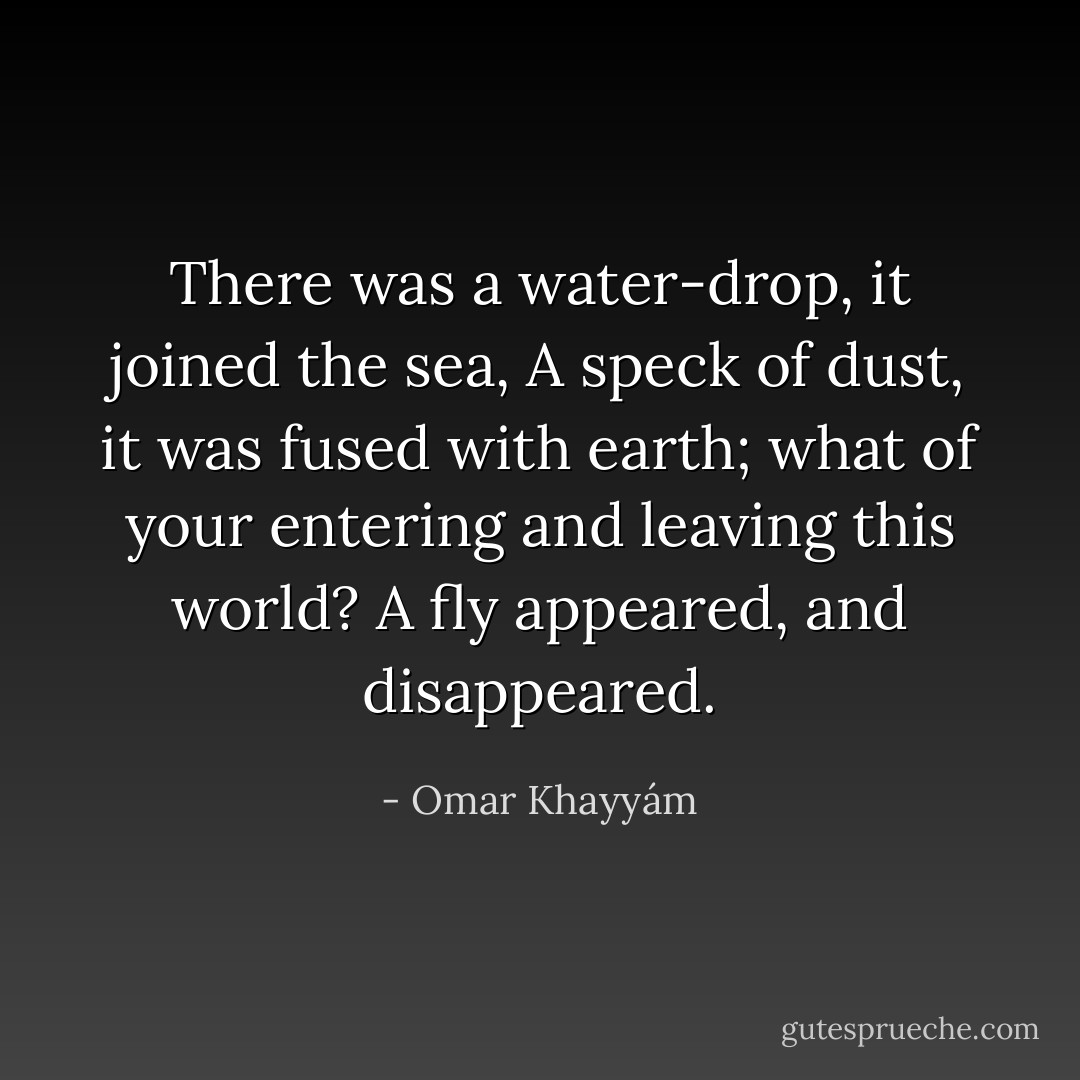 There was a water-drop, it joined the sea,<br />A speck of dust, it was fused with earth;<br />what of your entering and leaving this world?<br />A fly appeared, and disappeared. - Omar Khayyám