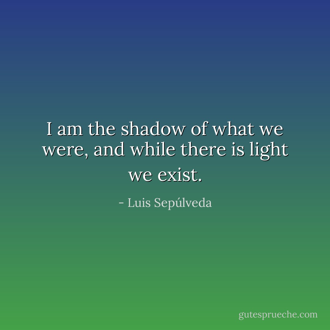 I am the shadow of what we were, and while there is light we exist. - Luis Sepúlveda