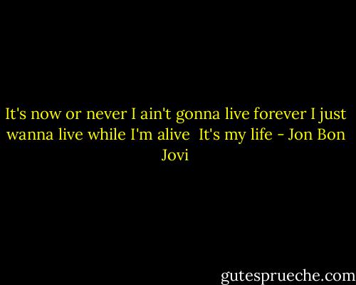It's now or never<br />I ain't gonna live forever<br />I just wanna live while I'm alive<br /><br />It's my life - Jon Bon Jovi