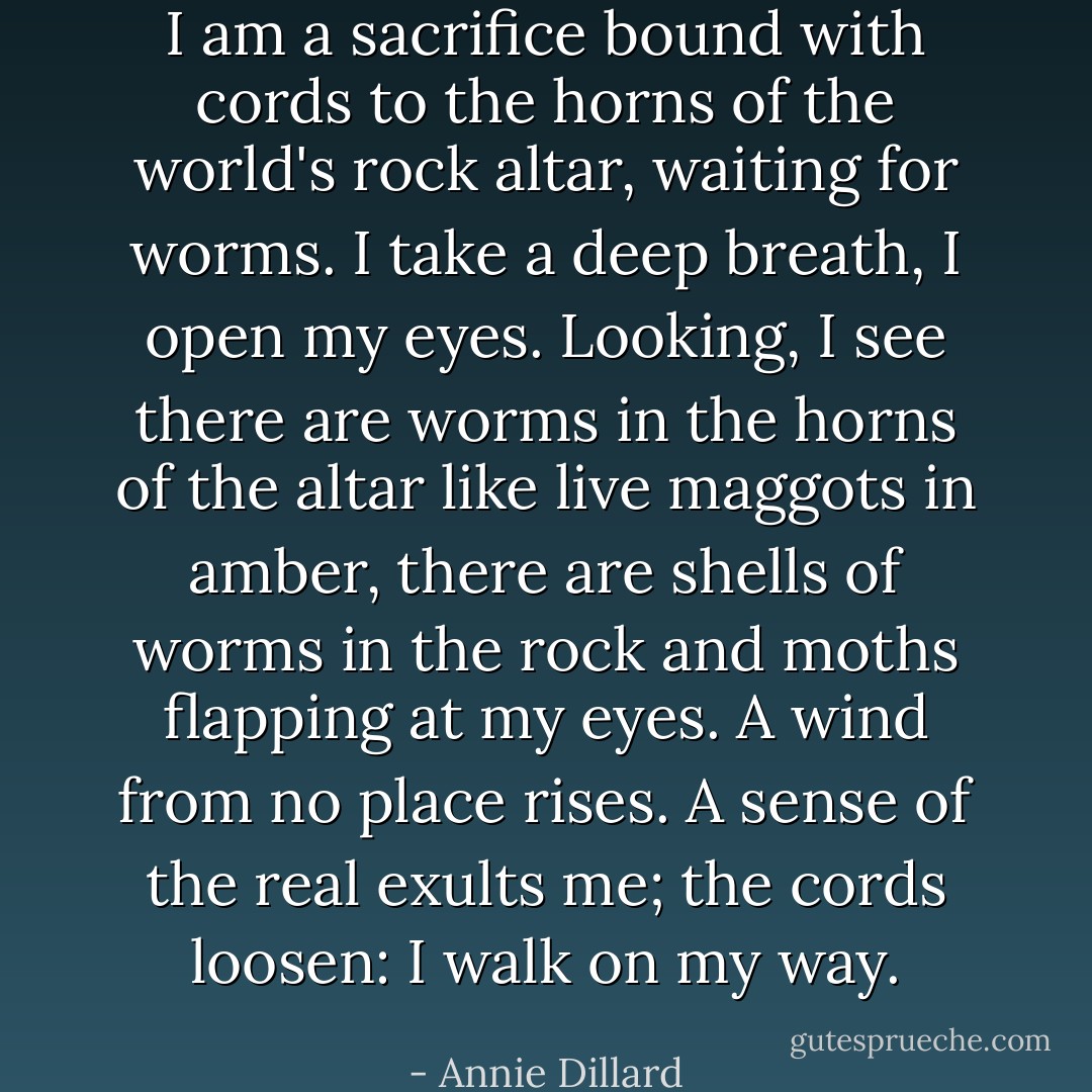 I am a sacrifice bound with cords to the horns of the world's rock altar, waiting for worms. I take a deep breath, I open my eyes. Looking, I see there are worms in the horns of the altar like live maggots in amber, there are shells of worms in the rock and moths flapping at my eyes. A wind from no place rises. A sense of the real exults me; the cords loosen: I walk on my way. - Annie Dillard