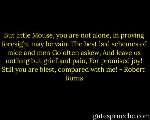 But little Mouse, you are not alone,<br />In proving foresight may be vain:<br />The best laid schemes of mice and men<br />Go often askew,<br />And leave us nothing but grief and pain,<br />For promised joy!<br />Still you are blest, compared with me! - Robert  Burns