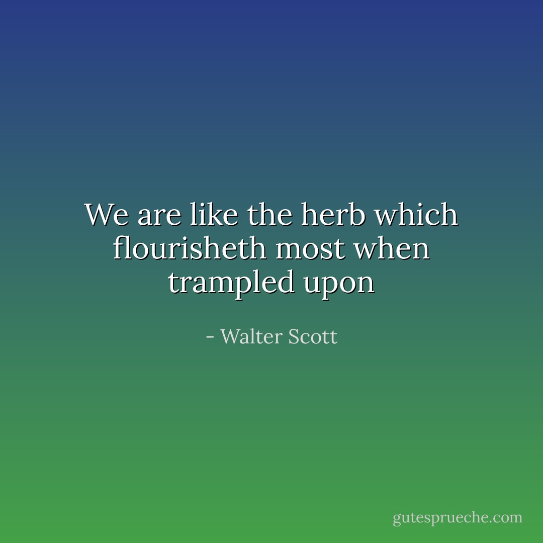 We are like the herb which flourisheth most when trampled upon - Walter Scott