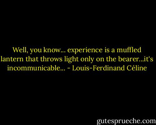Well, you know... experience is a muffled lantern that throws light only on the bearer...it's incommunicable... - Louis-Ferdinand Céline
