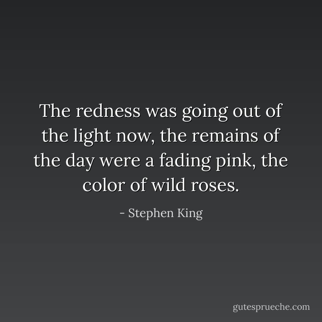 The redness was going out of the light now, the remains of the day were a fading pink, the color of wild roses. - Stephen King