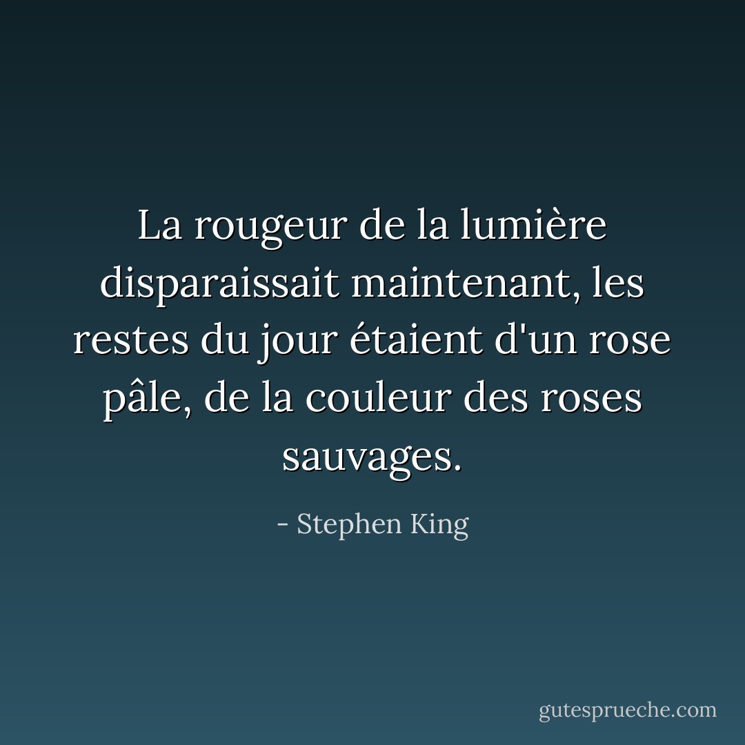 La rougeur de la lumière disparaissait maintenant, les restes du jour étaient d'un rose pâle, de la couleur des roses sauvages. - Stephen King