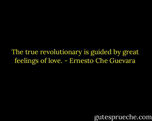 The true revolutionary is guided by great feelings of love. - Ernesto Che Guevara