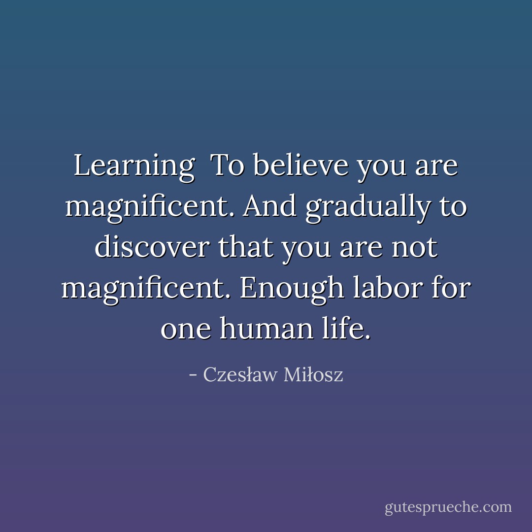 Learning<br /><br />To believe you are magnificent. And gradually to discover that you are not magnificent. Enough labor for one human life. - Czesław Miłosz