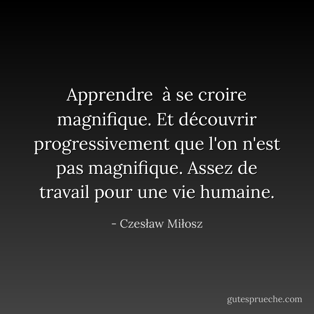 Apprendre<br /><br />à se croire magnifique. Et découvrir progressivement que l'on n'est pas magnifique. Assez de travail pour une vie humaine. - Czesław Miłosz