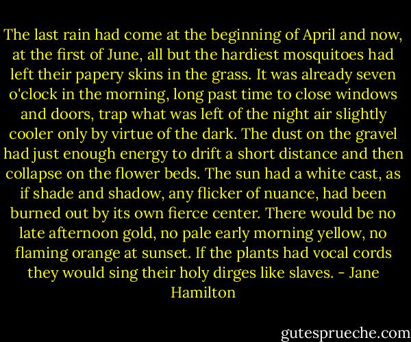 The last rain had come at the beginning of April and now, at the first of June, all but the hardiest mosquitoes had left their papery skins in the grass. It was already seven o'clock in the morning, long past time to close windows and doors, trap what was left of the night air slightly cooler only by virtue of the dark. The dust on the gravel had just enough energy to drift a short distance and then collapse on the flower beds. The sun had a white cast, as if shade and shadow, any flicker of nuance, had been burned out by its own fierce center. There would be no late afternoon gold, no pale early morning yellow, no flaming orange at sunset. If the plants had vocal cords they would sing their holy dirges like slaves. - Jane Hamilton