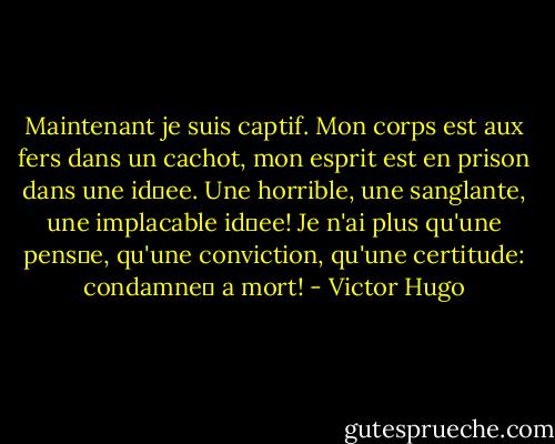 Maintenant je suis captif. Mon corps est aux fers dans un cachot, mon esprit est en prison dans une idee. Une horrible, une sanglante, une implacable idee! Je n'ai plus qu'une pense, qu'une conviction, qu'une certitude: condamne a mort! - Victor Hugo