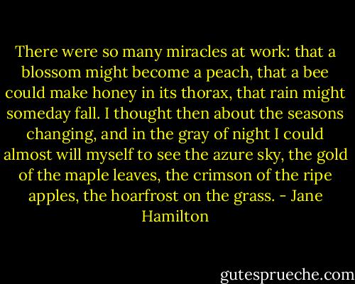 There were so many miracles at work: that a blossom might become a peach, that a bee could make honey in its thorax, that rain might someday fall. I thought then about the seasons changing, and in the gray of night I could almost will myself to see the azure sky, the gold of the maple leaves, the crimson of the ripe apples, the hoarfrost on the grass. - Jane Hamilton