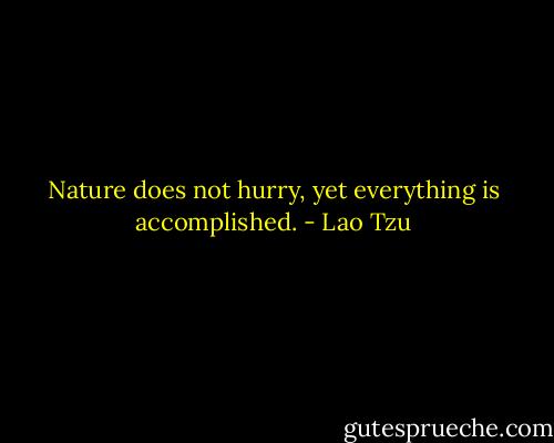 Nature does not hurry, yet everything is accomplished. - Lao Tzu