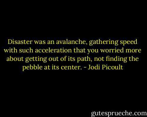 Disaster was an avalanche, gathering speed with such acceleration that you worried more about getting out of its path, not finding the pebble at its center. - Jodi Picoult