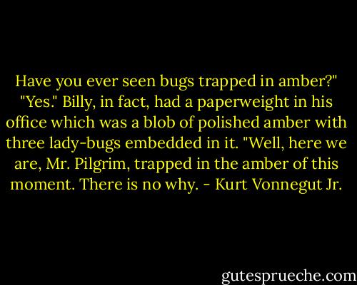 Have you ever seen bugs trapped in amber?" "Yes." Billy, in fact, had a paperweight in his office which was a blob of polished amber with three lady-bugs embedded in it. "Well, here we are, Mr. Pilgrim, trapped in the amber of this moment. There is no why. - Kurt Vonnegut Jr.