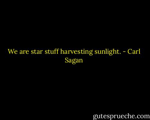 We are star stuff harvesting sunlight. - Carl Sagan