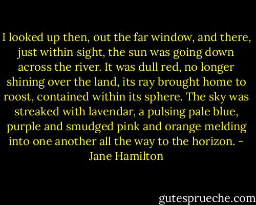 I looked up then, out the far window, and there, just within sight, the sun was going down across the river. It was dull red, no longer shining over the land, its ray brought home to roost, contained within its sphere. The sky was streaked with lavendar, a pulsing pale blue, purple and smudged pink and orange melding into one another all the way to the horizon. - Jane Hamilton