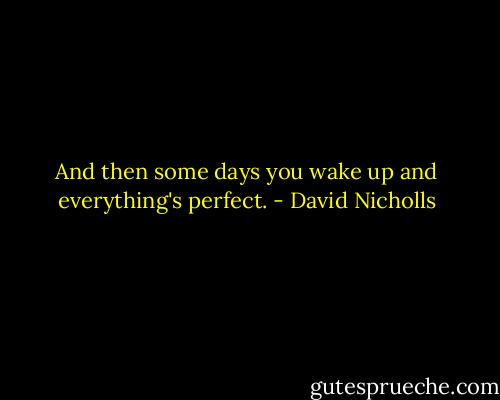 And then some days you wake up and everything's perfect. - David Nicholls