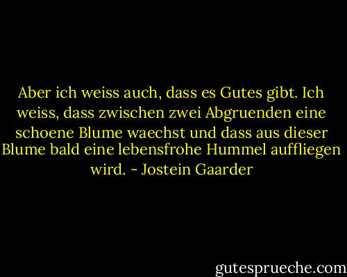 Aber ich weiss auch, dass es Gutes gibt. Ich weiss, dass zwischen zwei Abgruenden eine schoene Blume waechst und dass aus dieser Blume bald eine lebensfrohe Hummel auffliegen wird. - Jostein Gaarder