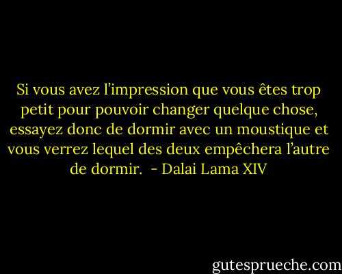 Si vous avez l’impression que vous êtes trop petit pour pouvoir changer quelque chose, essayez donc de dormir avec un moustique et vous verrez lequel des deux empêchera l’autre de dormir.  - Dalai Lama XIV
