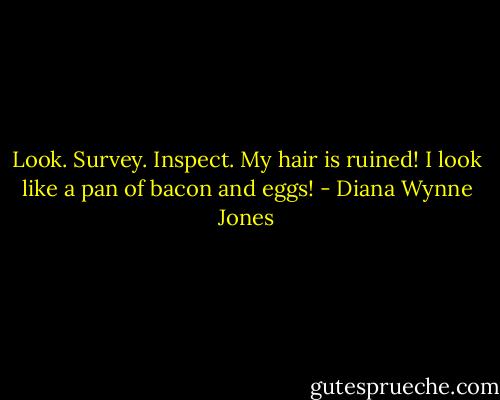 Look. Survey. Inspect. My hair is ruined! I look like a pan of bacon and eggs! - Diana Wynne Jones