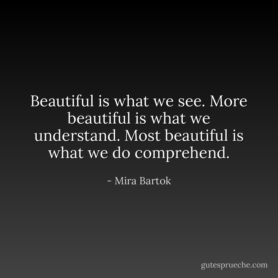 Beautiful is what we see. More beautiful is what we understand. Most beautiful is what we do comprehend. - Mira Bartok