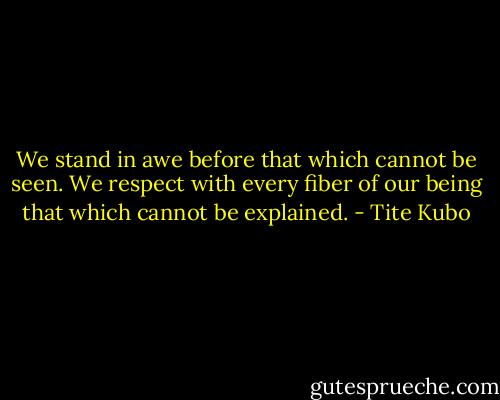 We stand in awe before that which cannot be seen. We respect with every fiber of our being that which cannot be explained. - Tite Kubo