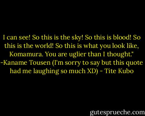 I can see! So this is the sky! So this is blood! So this is the world! So this is what you look like, Komamura. You are uglier than I thought." -Kaname Tousen (I'm sorry to say but this quote had me laughing so much XD) - Tite Kubo