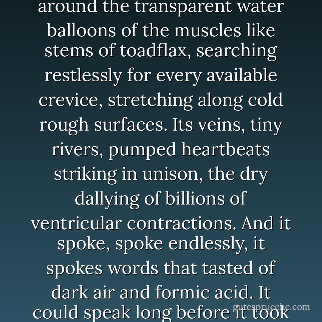 The ghost was not a ghost at all, or so it claimed - it claimed to be a psychic energy baby, birthed in some ethereal dimension, and pulled into the phone by the powerful magnetism of phone signals. It remembered with perfect clarity how it came to be - remembered coalescing from the membranous surface of the world, streaked with reflected light, humming with surface tension under the pressure of emptiness underneath. The Psychic Energy Baby found form among the emanations of people's minds and the susurrus of their voices, it found flesh in the shapes of their lips and eyes made, the surprise of 'o's and the sibilations of 's's; its skin stretched taut like a soap bubble, forged from the wet sound of lips touching; its thoughts were the musky smells and the nerves twined around the transparent water balloons of the muscles like stems of toadflax, searching restlessly for every available crevice, stretching along cold rough surfaces. Its veins, tiny rivers, pumped heartbeats striking in unison, the dry dallying of billions of ventricular contractions. And it spoke, spoke endlessly, it spokes words that tasted of dark air and formic acid. It could speak long before it took it's final shape.<br /><br />And when it happened, when all the sounds and smells and words in the world, when all the thoughts had aligned so that it could become - then it found itself pulled into the wires, surrounded by taut copper and green and red and yellow insulation; twined and quartered among the cables, rent open by millions of voices that shouted and whispered and pleaded and threatened, interspersed with the rasping of breaths and tearing laughter. It traveled through the criss-crossing of the wires so fast that it felt itself being pulled into a needle, head spearing into the future while its feet infinitely receded into the past, until it came into a dark quiet pool of the black rotary phone, where it could reassemble itself and take stock. - Ekaterina Sedia