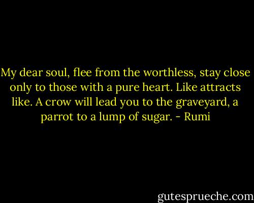 My dear soul, flee from the worthless,<br />stay close only to those with a pure heart.<br />Like attracts like.<br />A crow will lead you to the graveyard,<br />a parrot to a lump of sugar. - Rumi