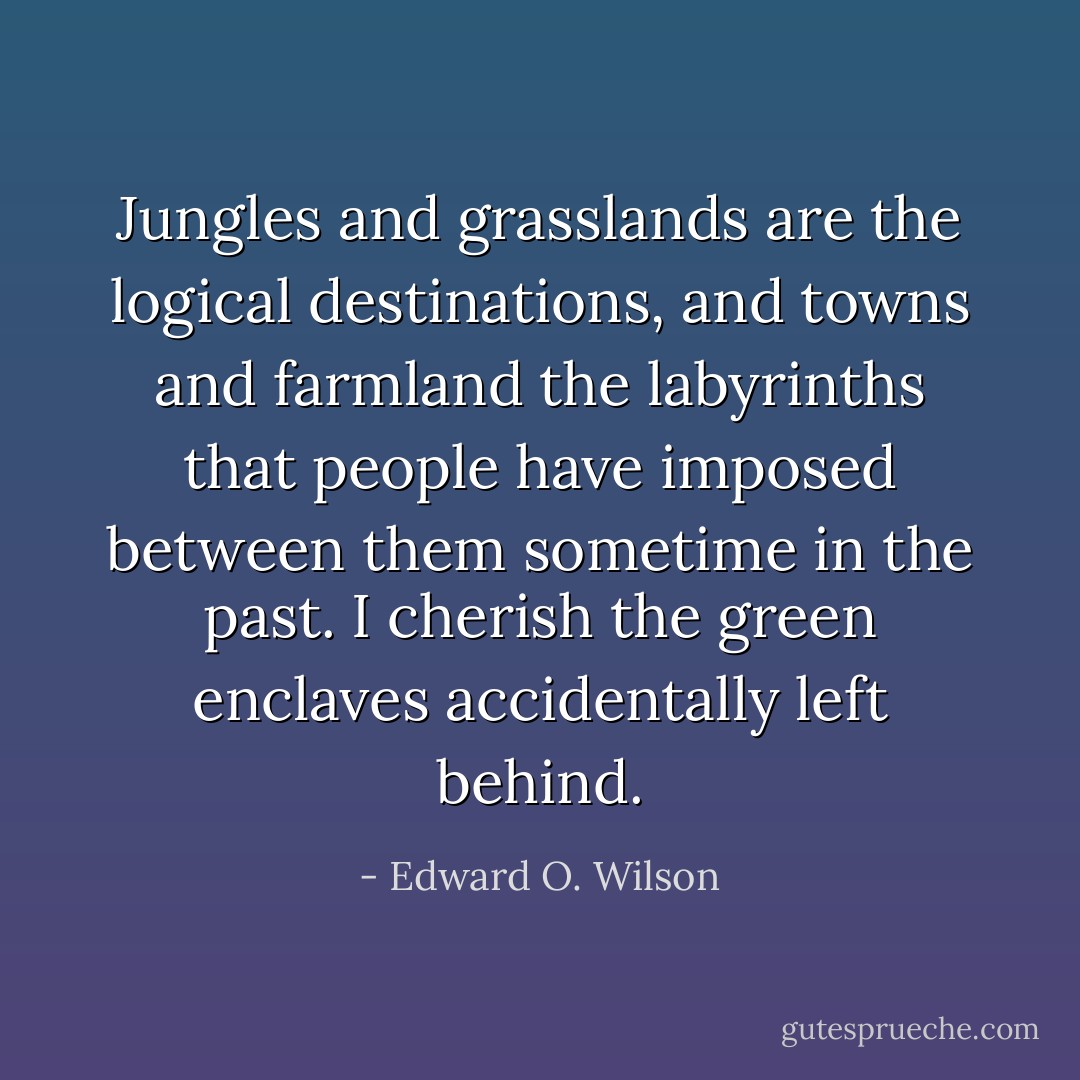 Jungles and grasslands are the logical destinations, and towns and farmland the labyrinths that people have imposed between them sometime in the past. I cherish the green enclaves accidentally left behind. - Edward O. Wilson