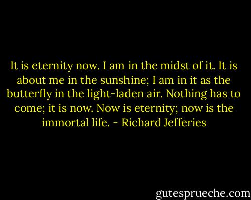 It is eternity now. I am in the midst of it. It is about me in the sunshine; I am in it as the butterfly in the light-laden air. Nothing has to come; it is now. Now is eternity; now is the immortal life. - Richard Jefferies