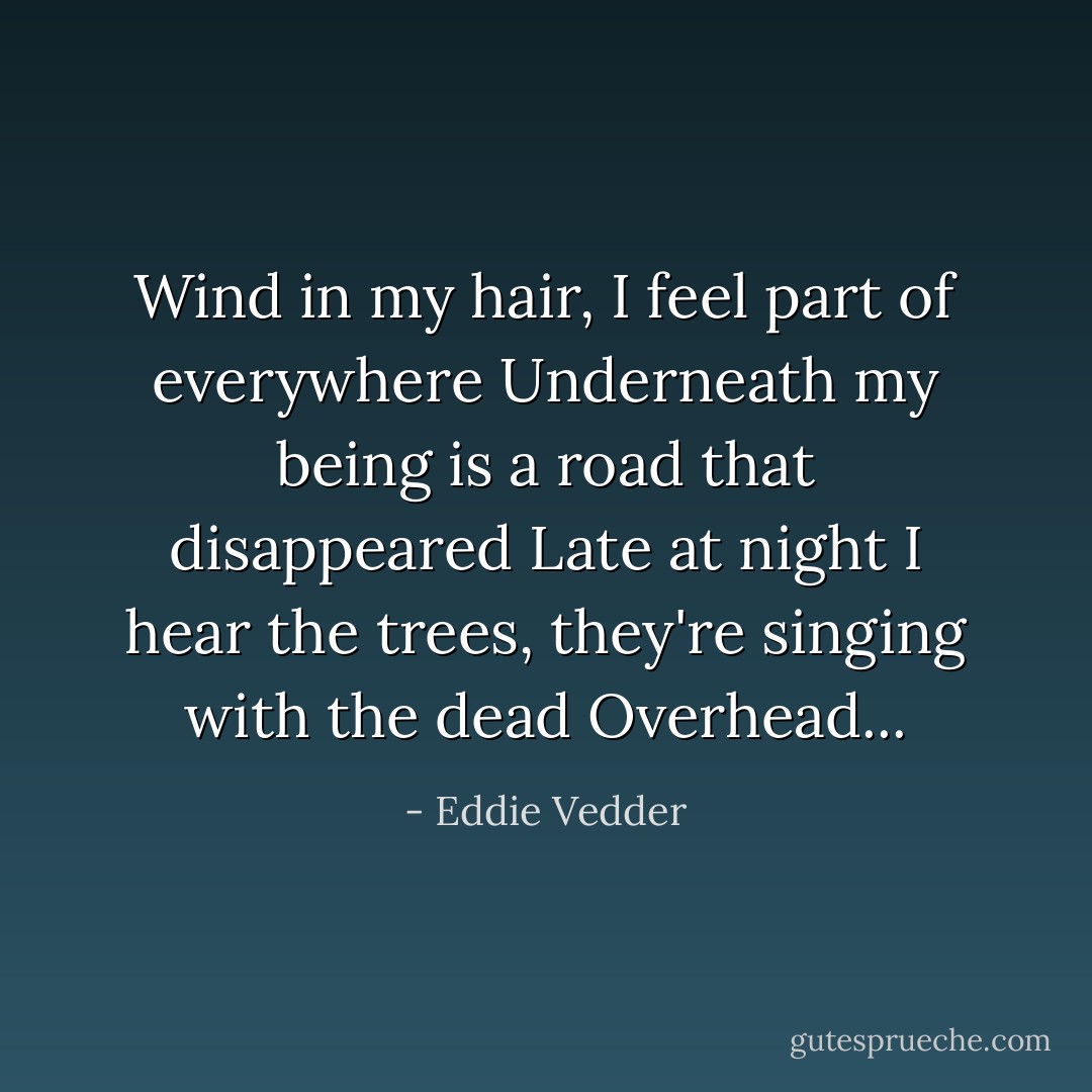 Wind in my hair, I feel part of everywhere<br />Underneath my being is a road that disappeared<br />Late at night I hear the trees, they're singing with the dead<br />Overhead... - Eddie Vedder