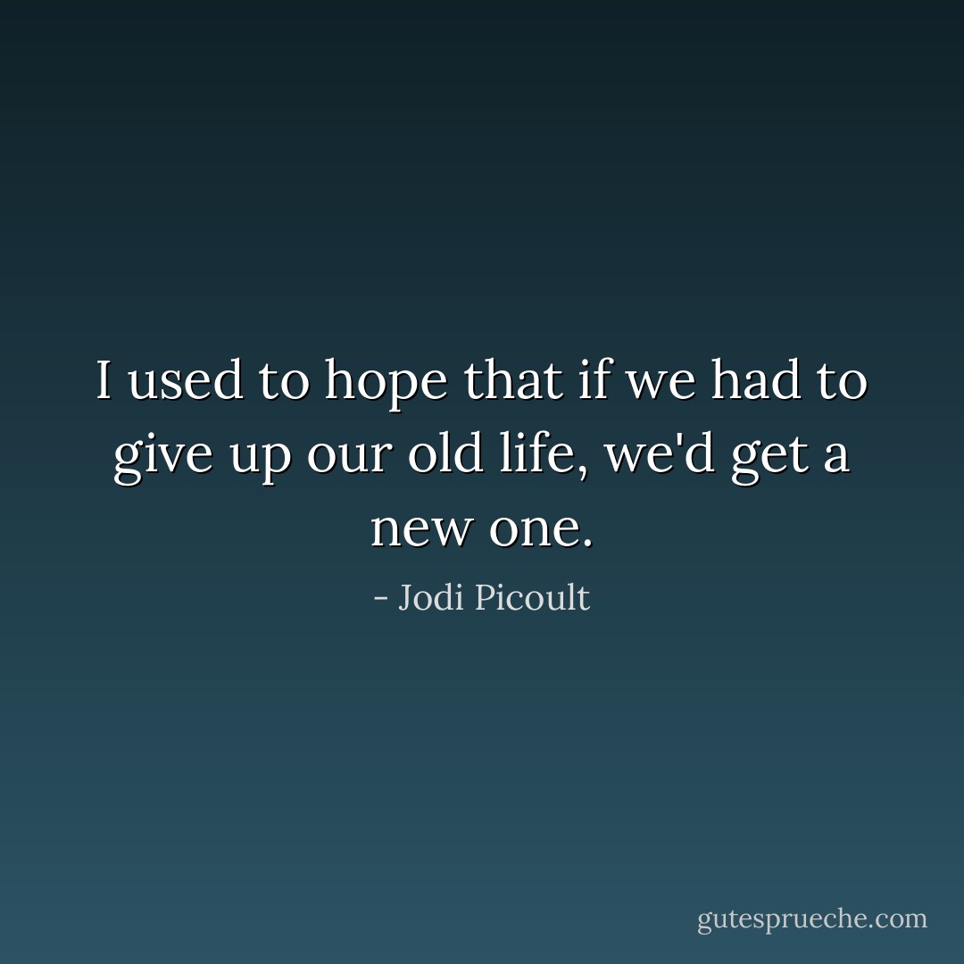 I used to hope that if we had to give up our old life, we'd get a new one. - Jodi Picoult