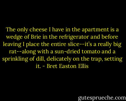 The only cheese I have in the apartment is a wedge of Brie in the refrigerator and before leaving I place the entire slice--it’s a really big rat--along with a sun-dried tomato and a sprinkling of dill, delicately on the trap, setting it. - Bret Easton Ellis
