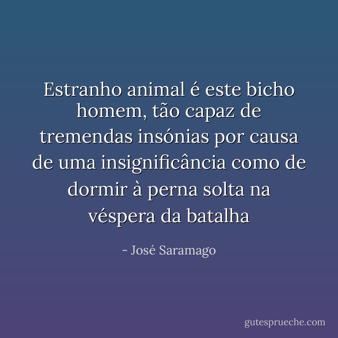 Estranho animal é este bicho homem, tão capaz de tremendas insónias por causa de uma insignificância como de dormir à perna solta na véspera da batalha - José Saramago