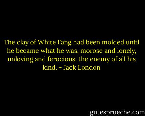 The clay of White Fang had been molded until he became what he was, morose and lonely, unloving and ferocious, the enemy of all his kind. - Jack London