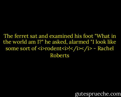 The ferret sat and examined his foot "What in the world am I?" he asked, alarmed "I look like some sort of <i>rodent<i>!</i></i> - Rachel Roberts