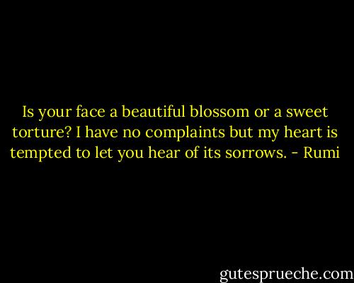 Is your face a beautiful blossom<br />or a sweet torture?<br />I have no complaints<br />but my heart is tempted<br />to let you<br />hear of its sorrows. - Rumi