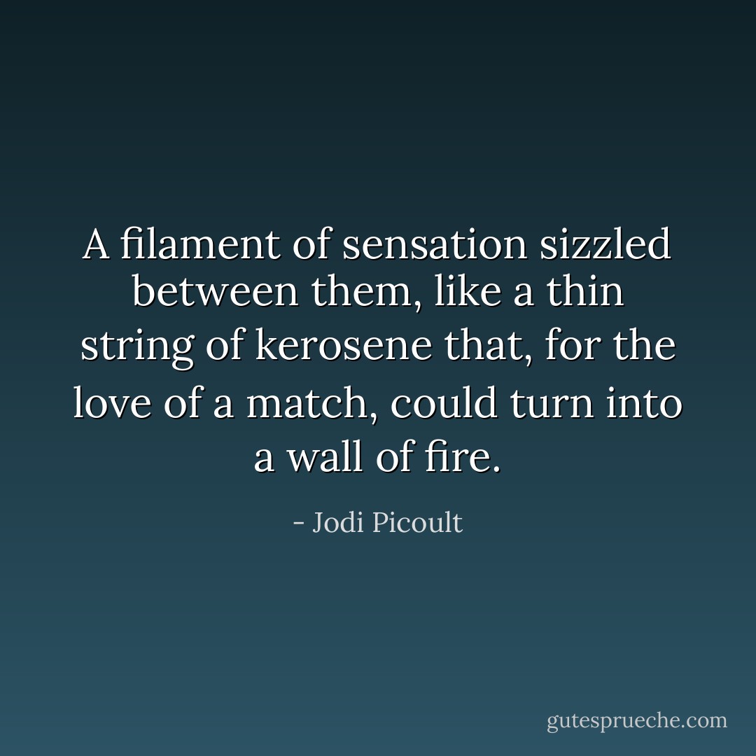 A filament of sensation sizzled between them, like a thin string of kerosene that, for the love of a match, could turn into a wall of fire. - Jodi Picoult